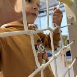 473054773_1309501156971271_5747162924333940186_n